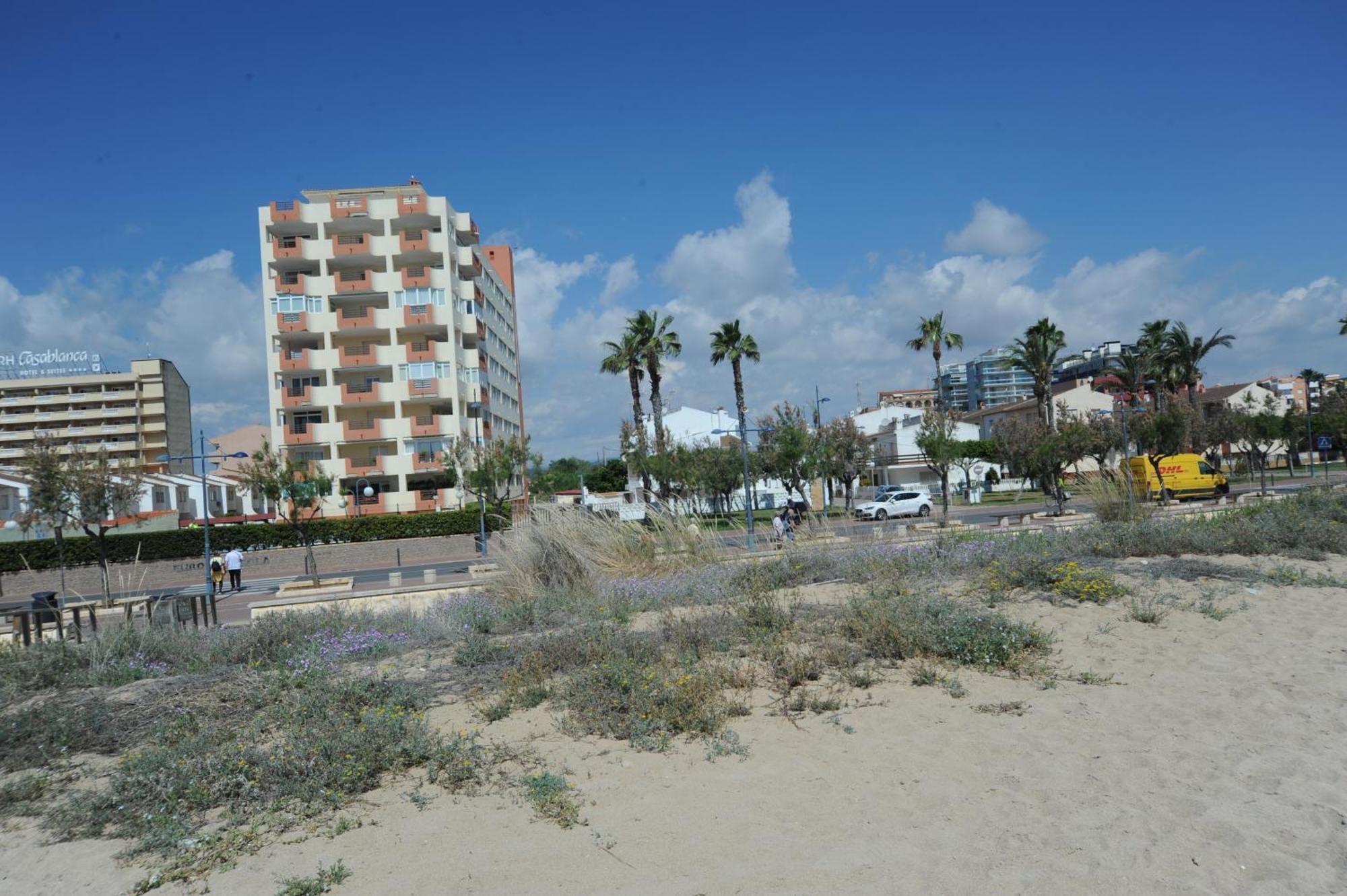 Apartament Europeniscola Superior Orangecosta Zewnętrze zdjęcie
